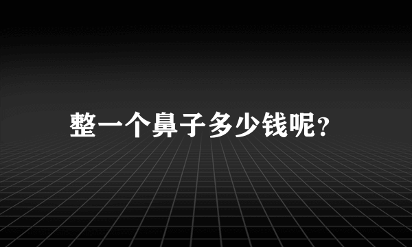 整一个鼻子多少钱呢？