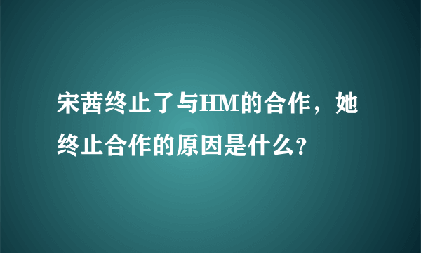 宋茜终止了与HM的合作，她终止合作的原因是什么？