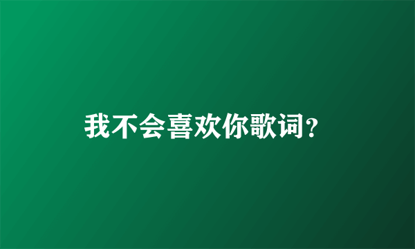 我不会喜欢你歌词？