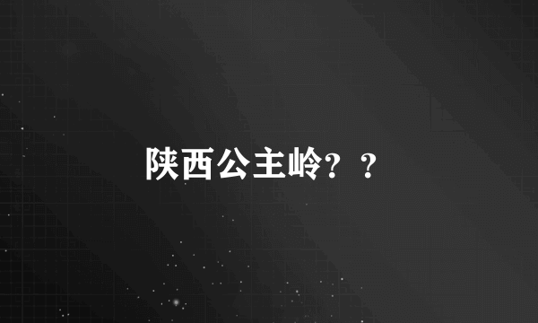 陕西公主岭？？