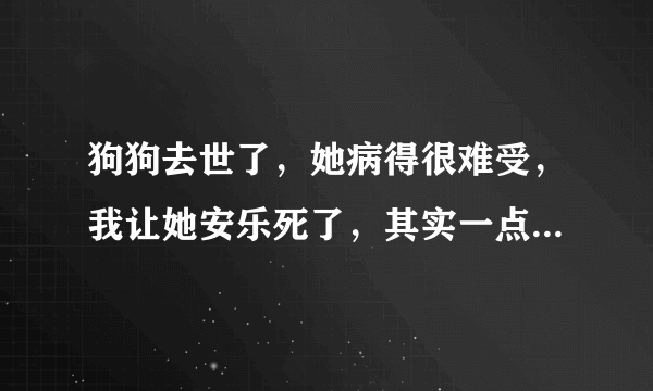 狗狗去世了，她病得很难受，我让她安乐死了，其实一点也不安乐，很痛苦，她会恨我的？