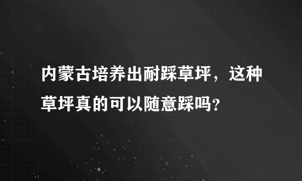 内蒙古培养出耐踩草坪，这种草坪真的可以随意踩吗？