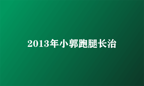 2013年小郭跑腿长治