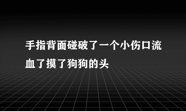 手指背面碰破了一个小伤口流血了摸了狗狗的头