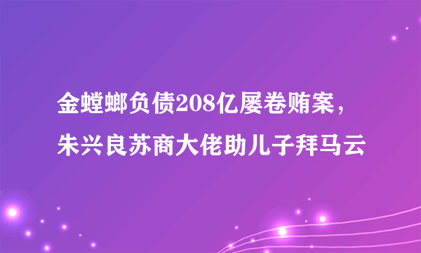 金螳螂负债208亿屡卷贿案，朱兴良苏商大佬助儿子拜马云