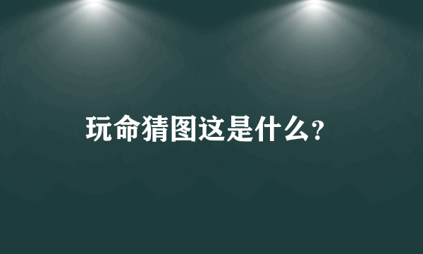 玩命猜图这是什么？