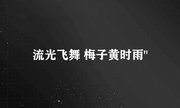 流光飞舞 梅子黄时雨