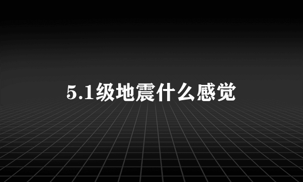 5.1级地震什么感觉