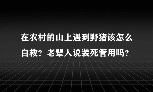 在农村的山上遇到野猪该怎么自救？老辈人说装死管用吗？