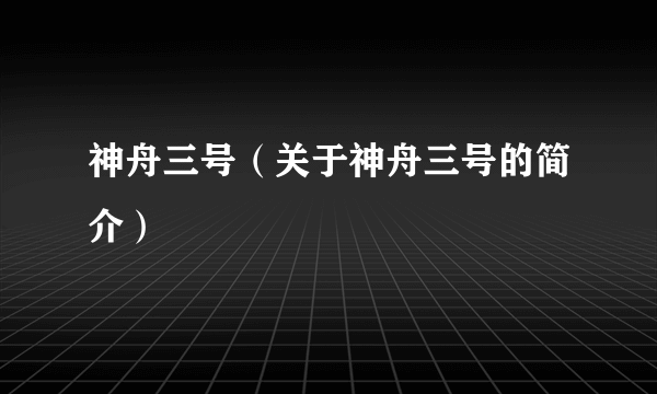 神舟三号（关于神舟三号的简介）