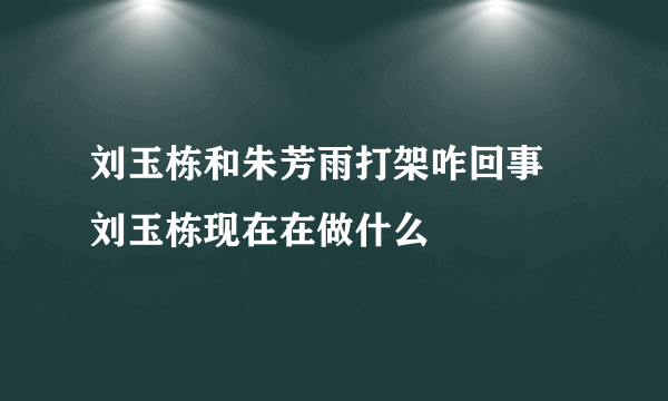 刘玉栋和朱芳雨打架咋回事 刘玉栋现在在做什么