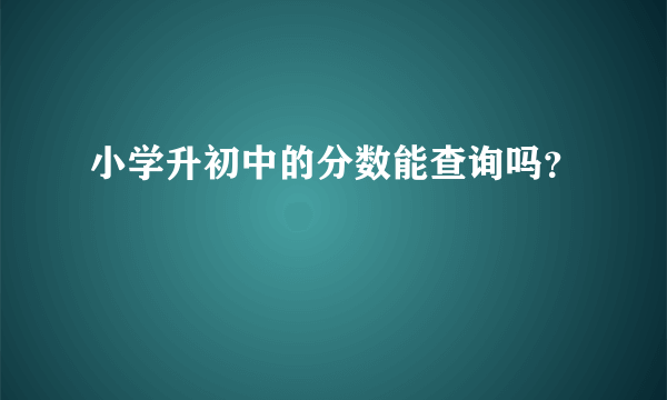 小学升初中的分数能查询吗？