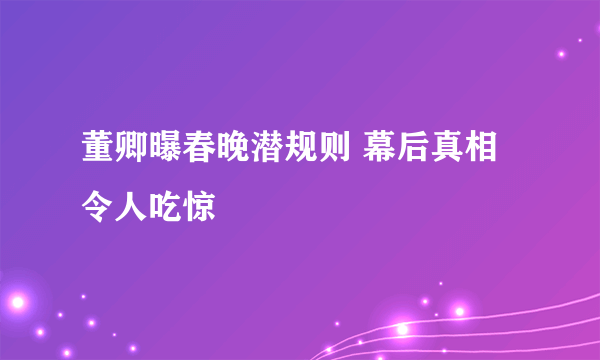 董卿曝春晚潜规则 幕后真相令人吃惊