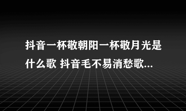 抖音一杯敬朝阳一杯敬月光是什么歌 抖音毛不易消愁歌曲歌词完整版