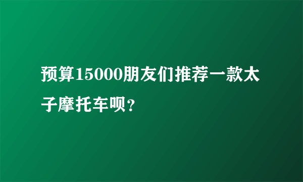 预算15000朋友们推荐一款太子摩托车呗？