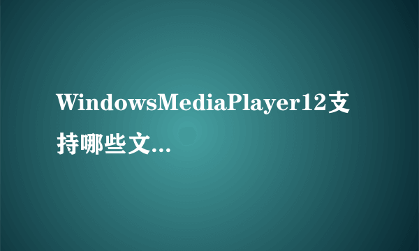 WindowsMediaPlayer12支持哪些文件格式？