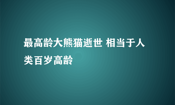 最高龄大熊猫逝世 相当于人类百岁高龄