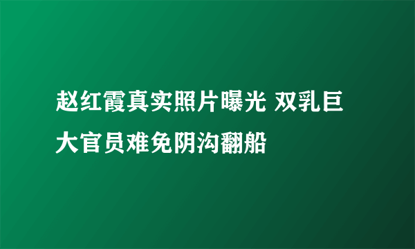 赵红霞真实照片曝光 双乳巨大官员难免阴沟翻船