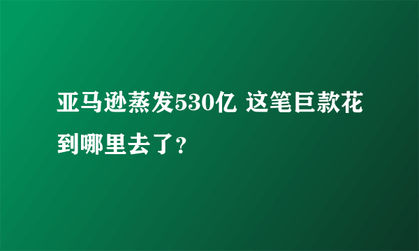 亚马逊蒸发530亿 这笔巨款花到哪里去了？