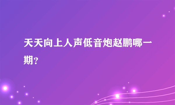 天天向上人声低音炮赵鹏哪一期？