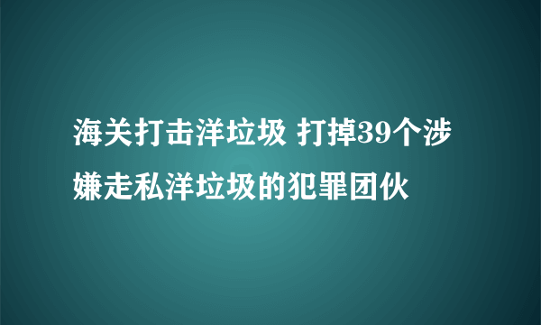 海关打击洋垃圾 打掉39个涉嫌走私洋垃圾的犯罪团伙