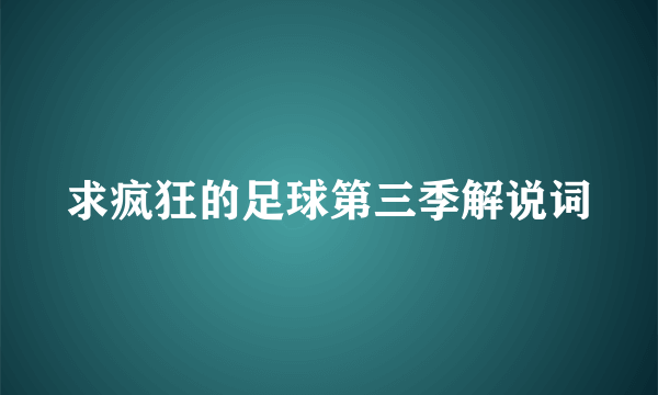 求疯狂的足球第三季解说词