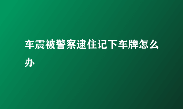 车震被警察逮住记下车牌怎么办