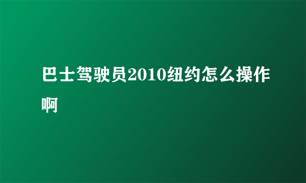 巴士驾驶员2010纽约怎么操作啊