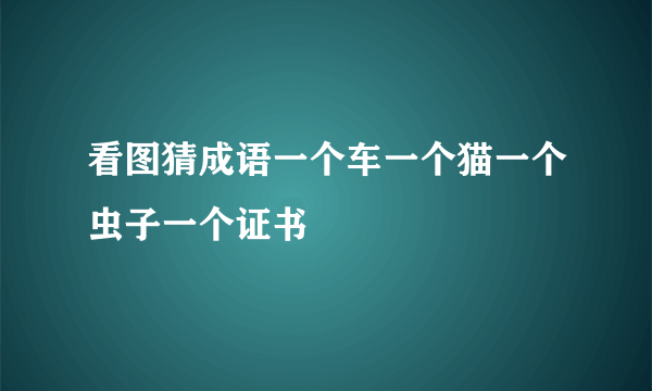 看图猜成语一个车一个猫一个虫子一个证书