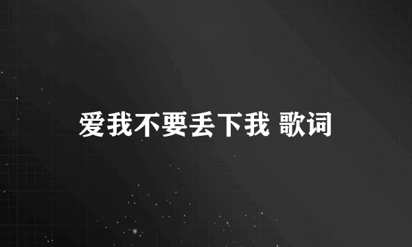 爱我不要丢下我 歌词