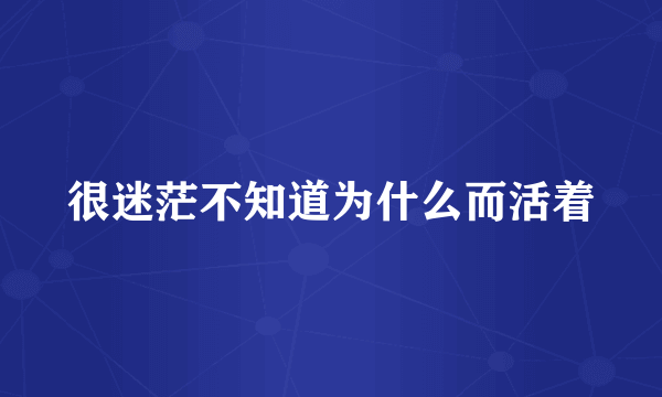 很迷茫不知道为什么而活着