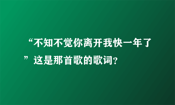 “不知不觉你离开我快一年了”这是那首歌的歌词？