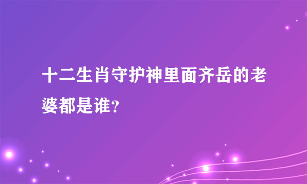 十二生肖守护神里面齐岳的老婆都是谁？