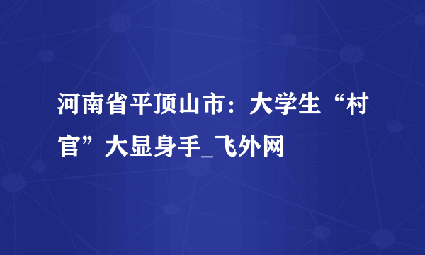 河南省平顶山市：大学生“村官”大显身手_飞外网