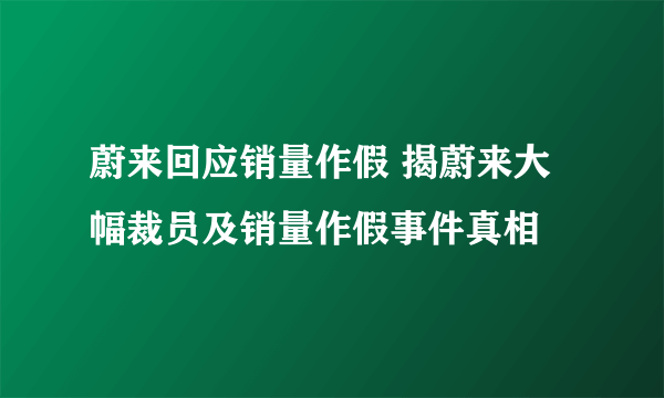 蔚来回应销量作假 揭蔚来大幅裁员及销量作假事件真相