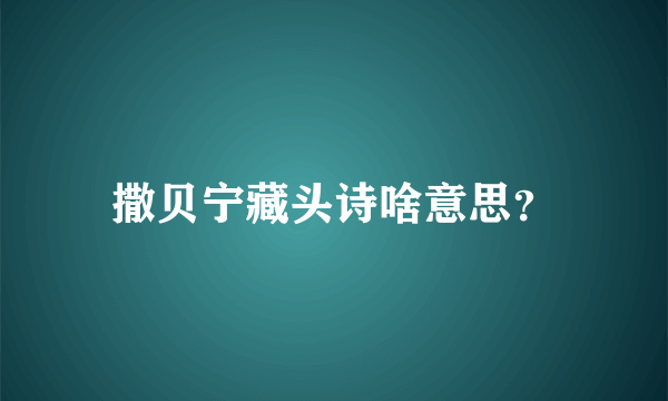 撒贝宁藏头诗啥意思？