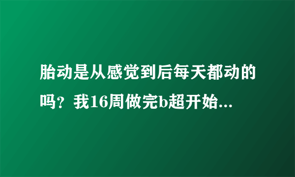 胎动是从感觉到后每天都动的吗？我16周做完b超开始，胎动很明显，感觉娃在里面扑腾，然后持续了三四天，每天都能感受到，现在17+1，最近几天感觉没那么明显了