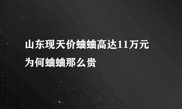 山东现天价蛐蛐高达11万元 为何蛐蛐那么贵