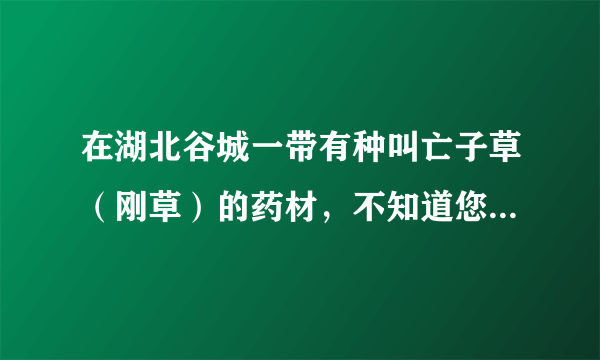 在湖北谷城一带有种叫亡子草（刚草）的药材，不知道您听说过吗？可以告诉我它的学名吗