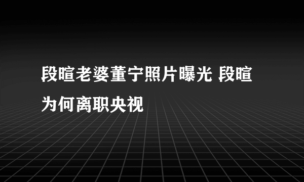 段暄老婆董宁照片曝光 段暄为何离职央视