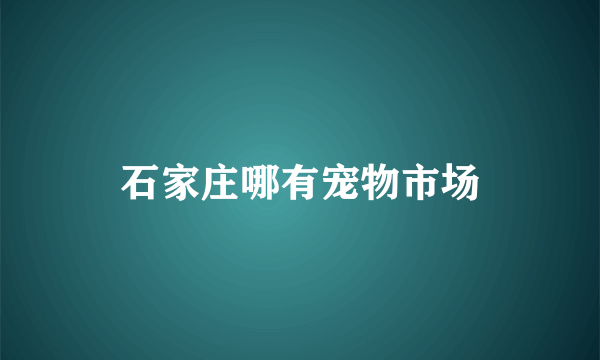 石家庄哪有宠物市场