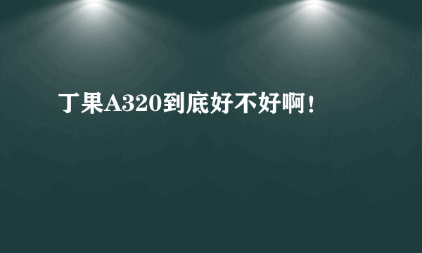 丁果A320到底好不好啊！