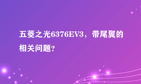 五菱之光6376EV3，带尾翼的相关问题？