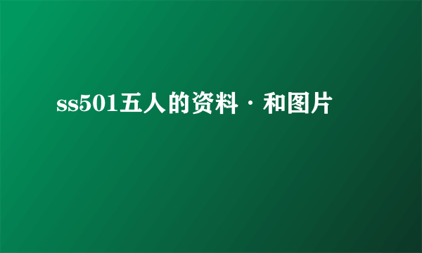 ss501五人的资料·和图片