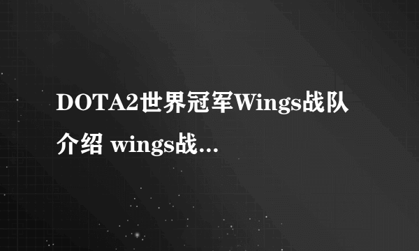 DOTA2世界冠军Wings战队介绍 wings战队成员简介