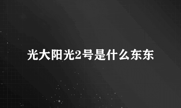 光大阳光2号是什么东东