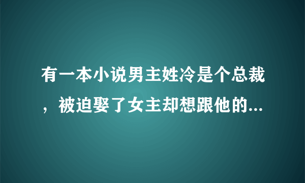 有一本小说男主姓冷是个总裁，被迫娶了女主却想跟他的秘书在一起，后来女主离开他了才发现自己爱上了她？