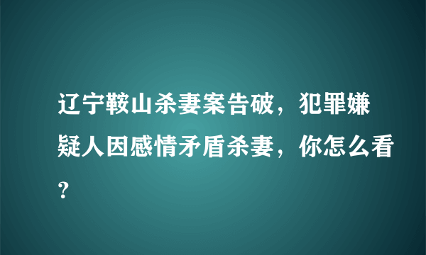 辽宁鞍山杀妻案告破，犯罪嫌疑人因感情矛盾杀妻，你怎么看？