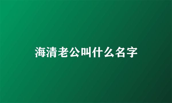 海清老公叫什么名字