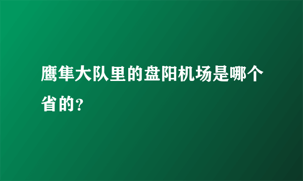 鹰隼大队里的盘阳机场是哪个省的？